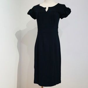Fitted Puff Sleeve Professional Dress
